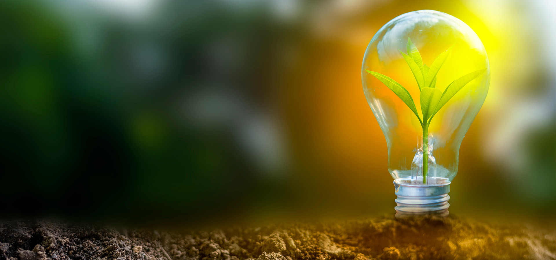 clean vs green energy