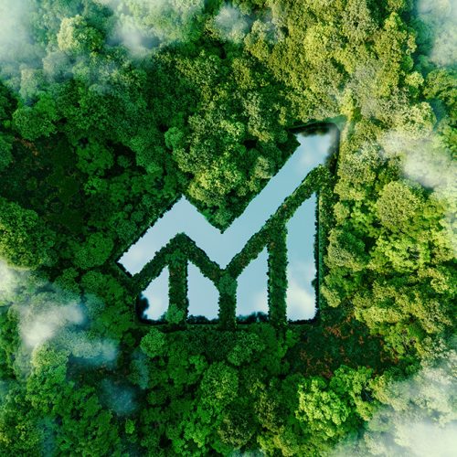 All About Carbon Markets